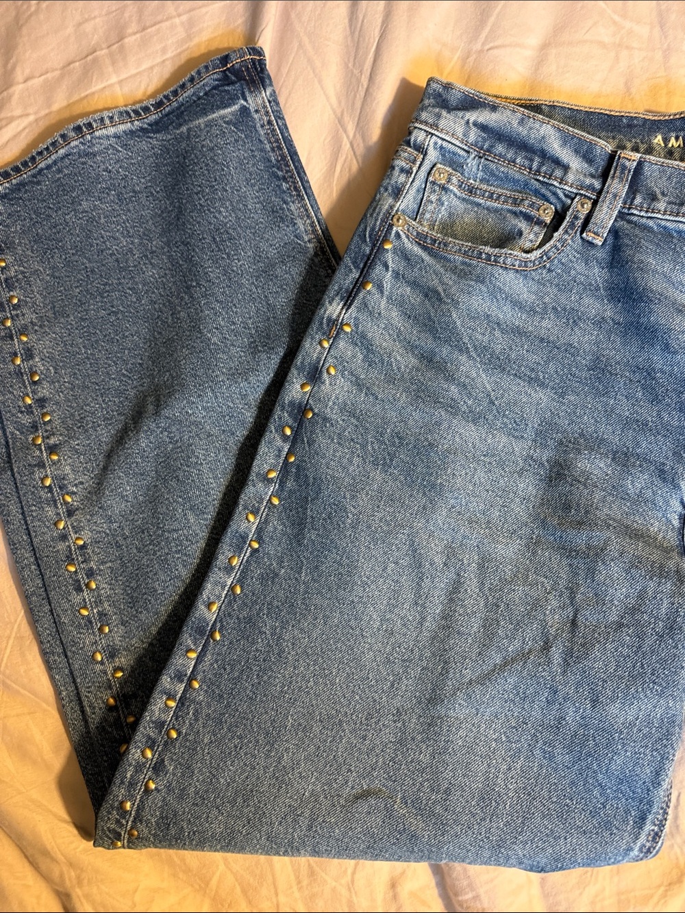 American eagle - Picture 7 of 8
